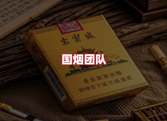 国烟团队